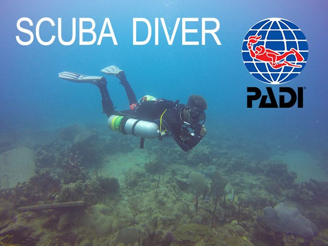 Scuba Diver